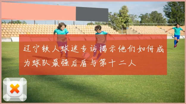辽宁铁人球迷专访揭示他们如何成为球队最强后盾与第十二人